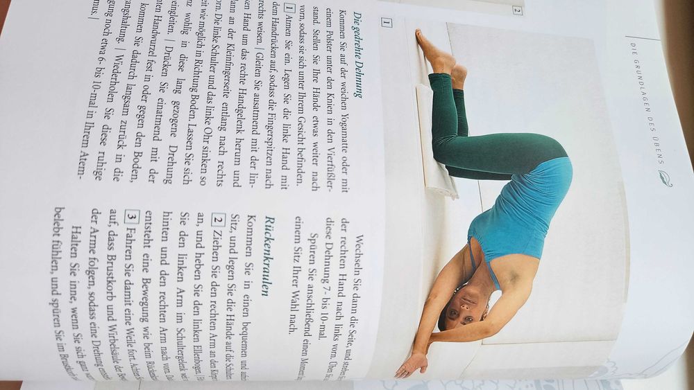 Carte yoga- Anna Trokes- Das grosse yoga-buch