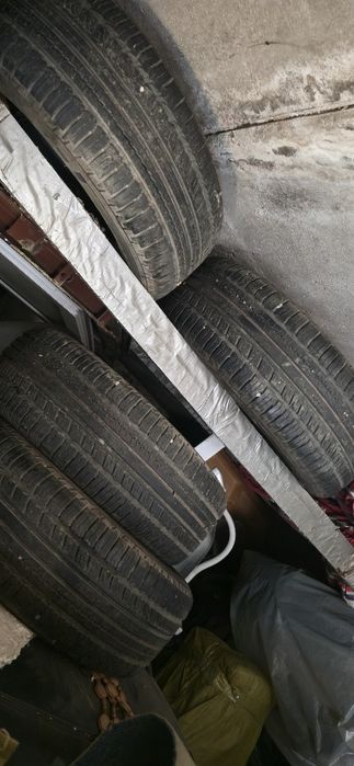 нокиан 4 баллона