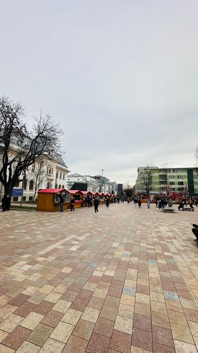 Spațiu ultracentral, pe colț stradă pietonală, lângă Primărie
