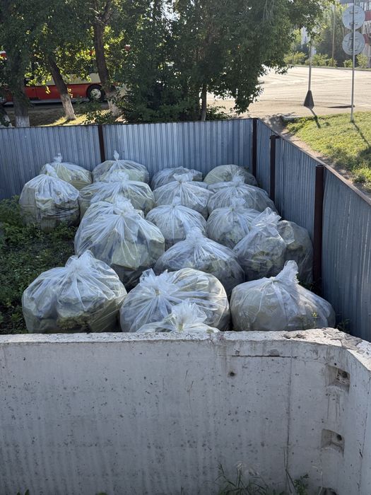 Отдам бесплатно минвату