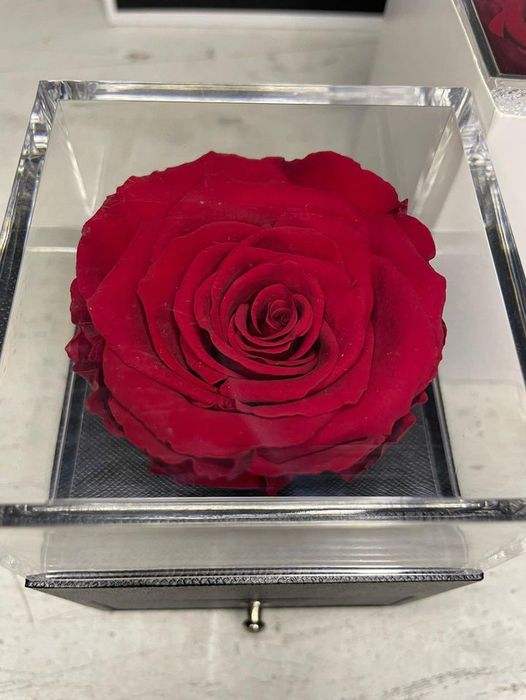 Вечна роза в кутия