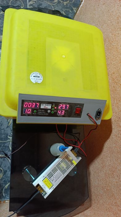 Inkubator sotiladi manzil Yakabogʻ
