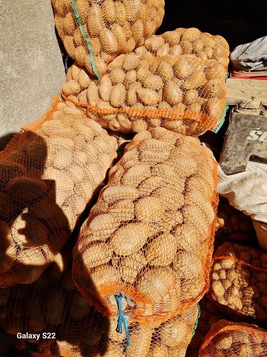 Vad cartofi de consum