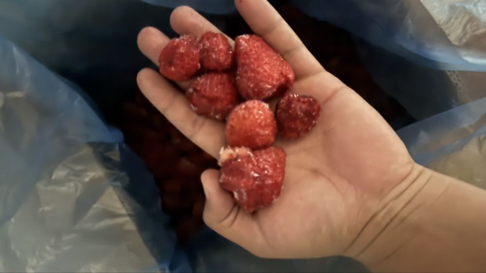 Qulupnay Muzlatilgan