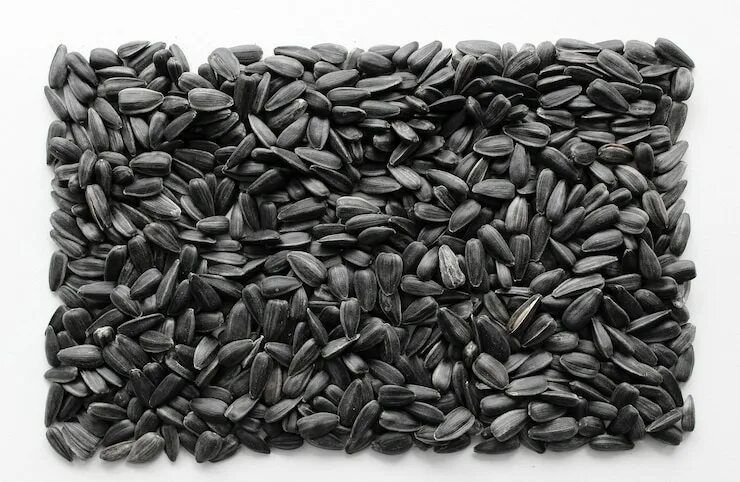 Продам Семечку (подсолнух) 2025