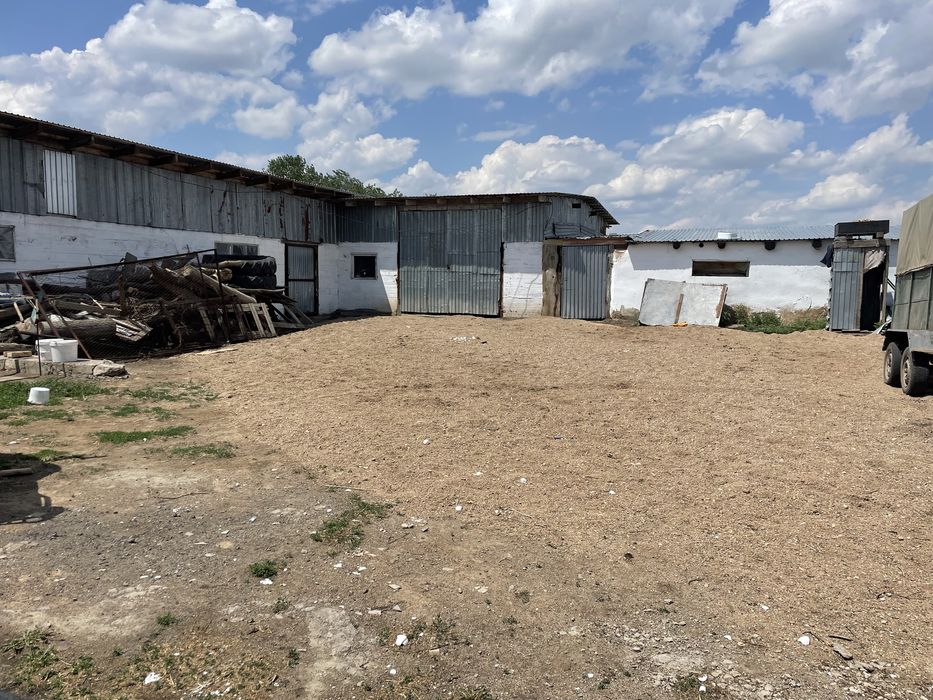 Фазенда, крестянское хозяйство.ТОРГ