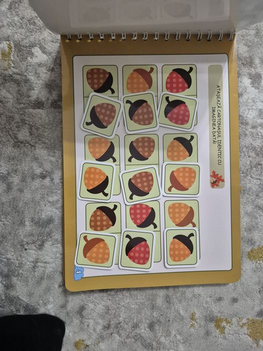Carte activitati