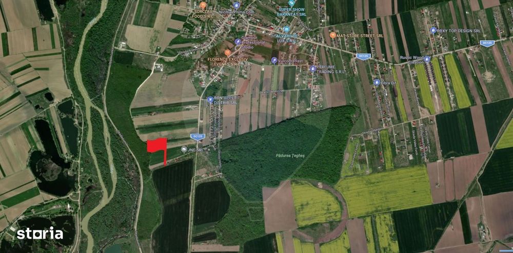 Teren intravilan de vanzare 500 mp, com Domnesti/Teghes