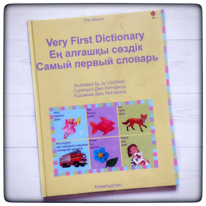 Первый словарь ребенка(Большая книга)