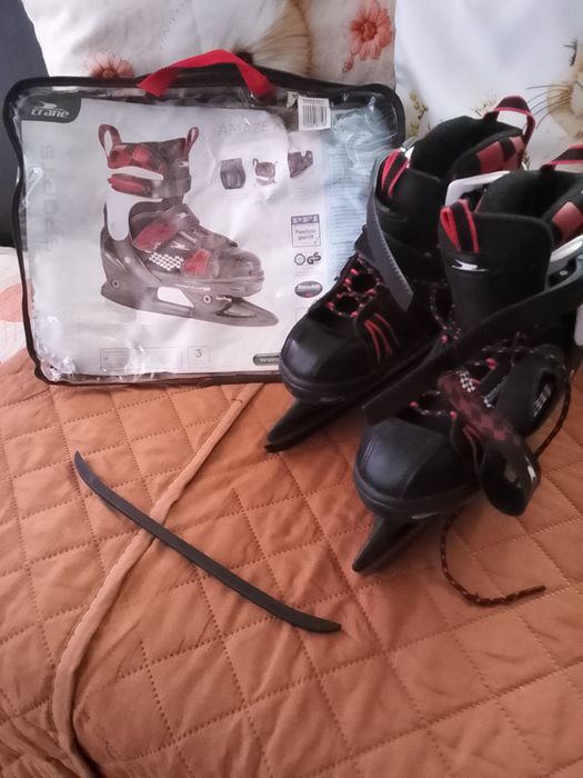 Patine  profesionale de gheata