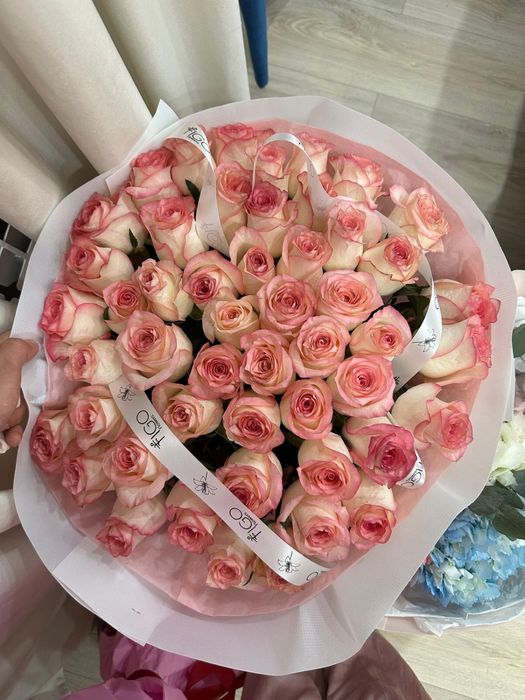 Продам цветы 51шт