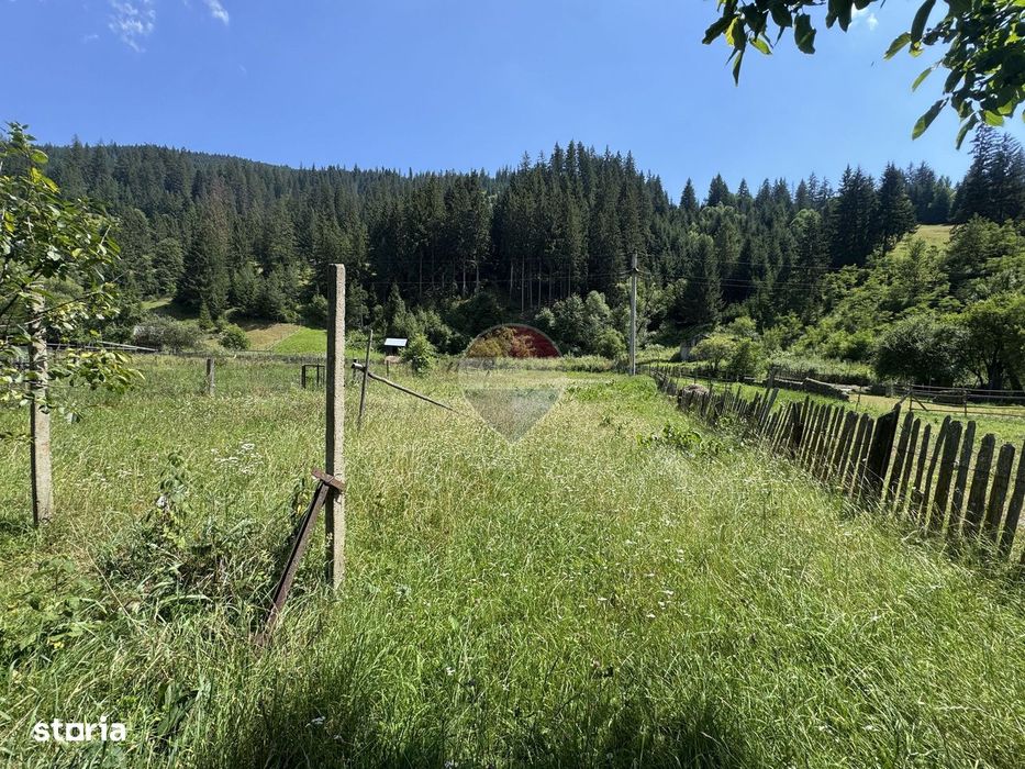 De vanzare | Teren intravilan 1342 mp in Sabasa | Borca | Neamt