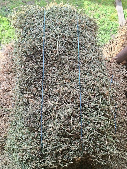 Vand baloti de lucerna