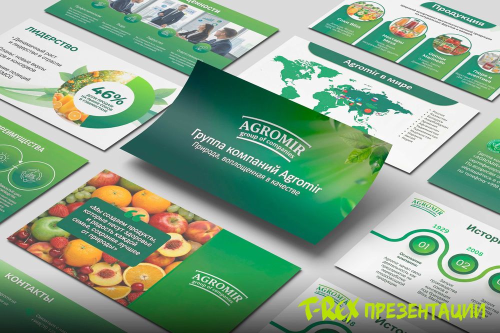 Дизайн презентации. Бизнес план. Стратегия развития. Для инвестиций