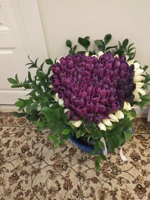 101 шт тюльпаны свежые