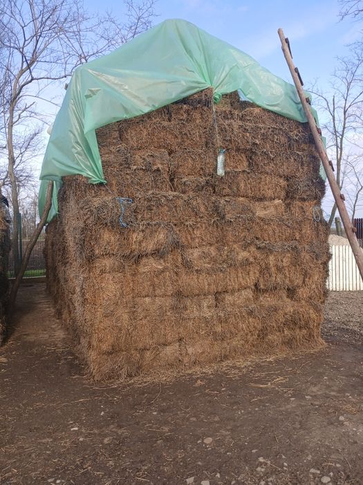 De vânzare baloți lucernă