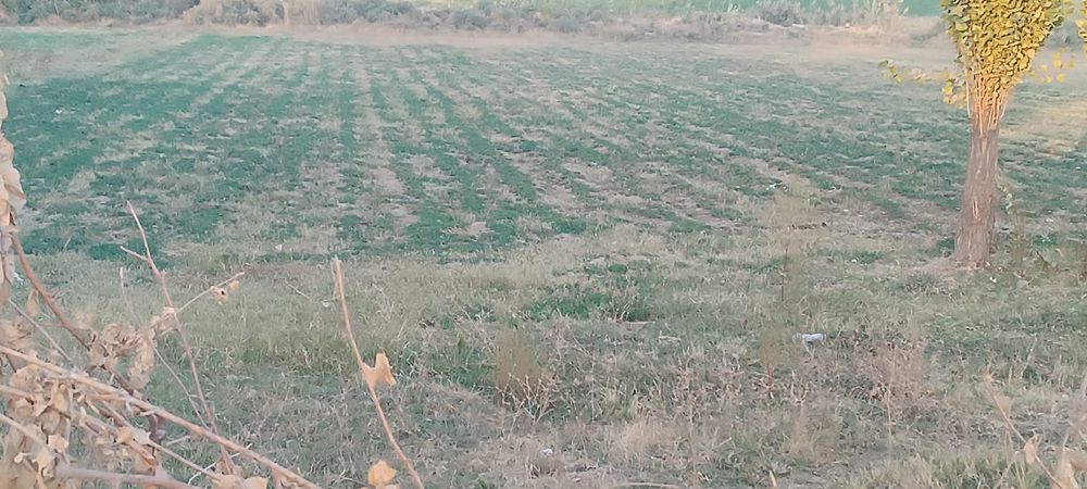 Bo'sh yer uchastka 35 so'tix