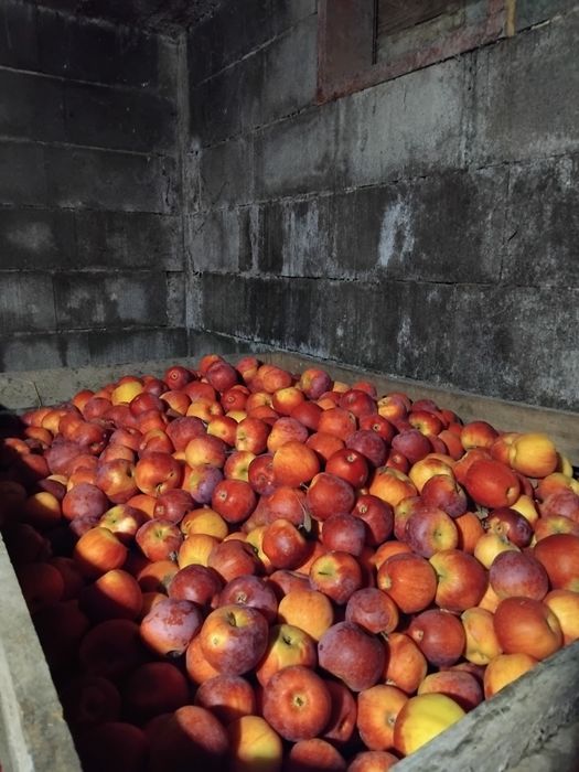 Mere de vânzare calitatea intai