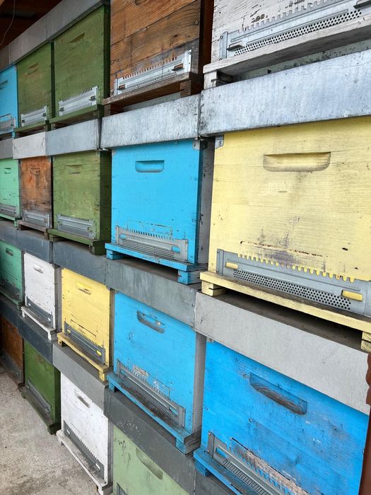 Vand stupi de albine din lemn, 10 rame, cu magazie 1/2 + accesorii