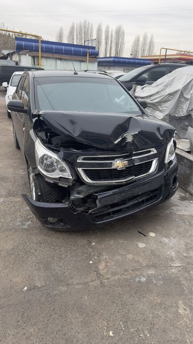 Cobalt darkmoon 2023