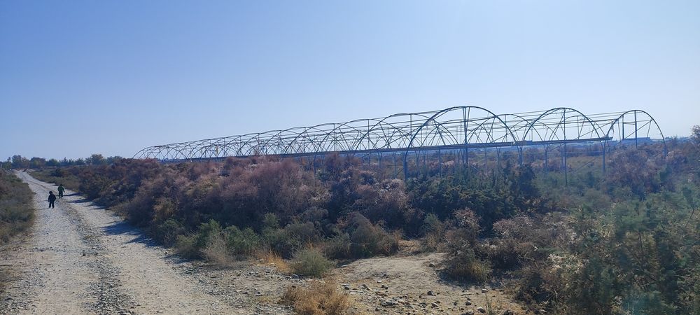 Surxondaryo uchquzilda sotiladigan yer bor