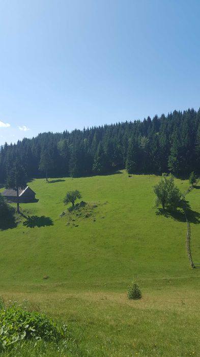 Teren de vanzare