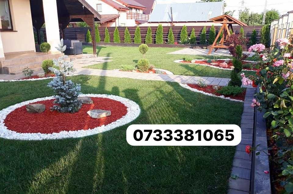 Gazon Si Plante ornamentale