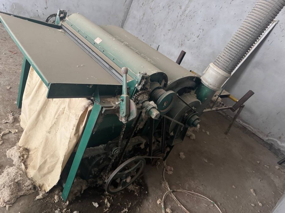 Tin Tin paxta jentra malibu