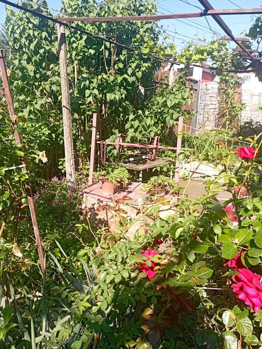 Продава се Къща в Луковит - 120 кв.м за 500 €/кв.м - Снимка #4