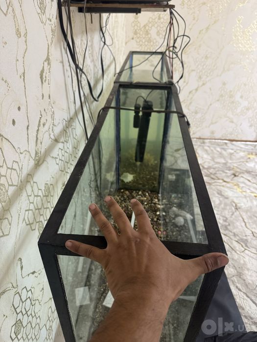 Akvarium 200 litrdan har biri