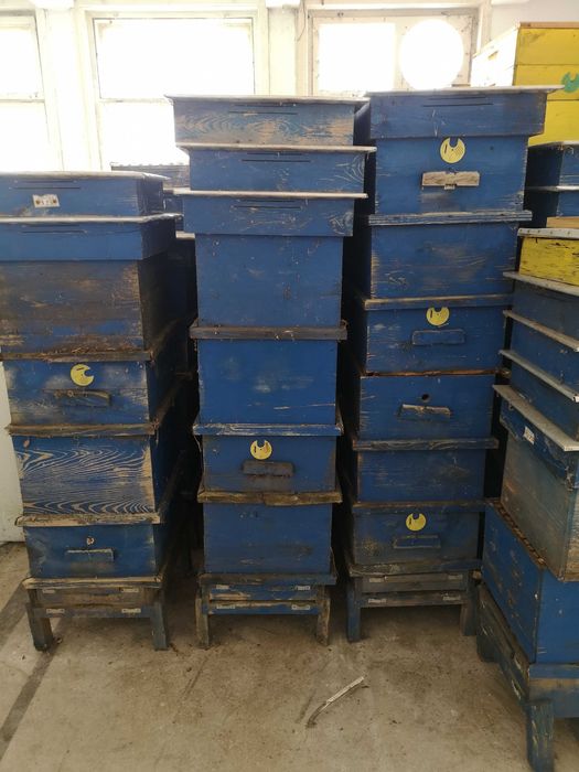 Продавам пчелни кошери