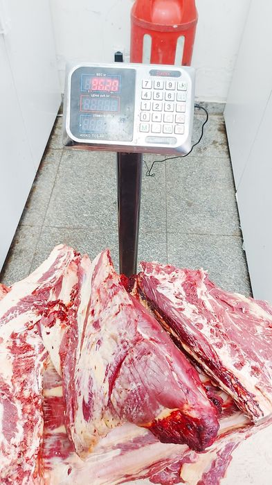 Мясо говядина тушами