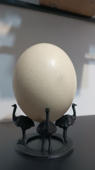 Suport 3d print plastic petg pentru oua de strut