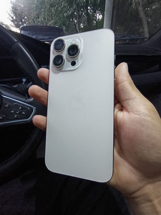16 pro max 256 gb
