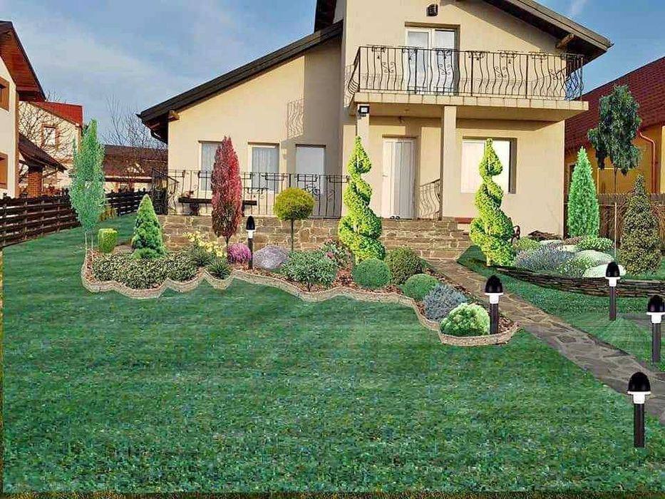 Mesteacăn alb Tei stejar Carpen