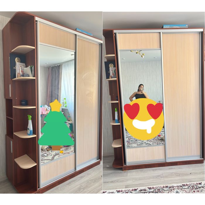 Вместительный Шкаф-купе