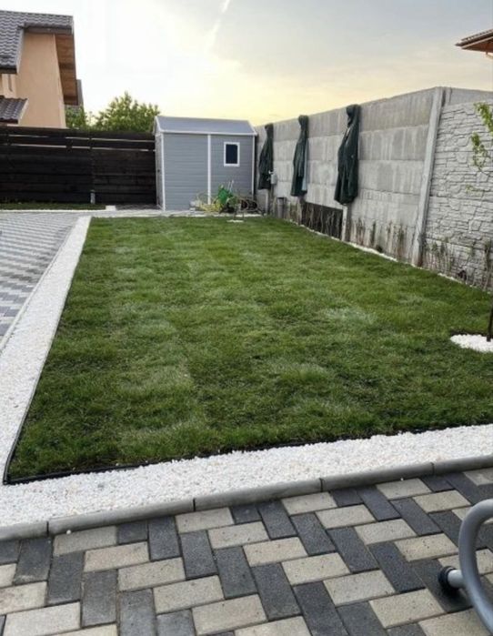 Vând gazon rulou și montez am și plante ornamentale