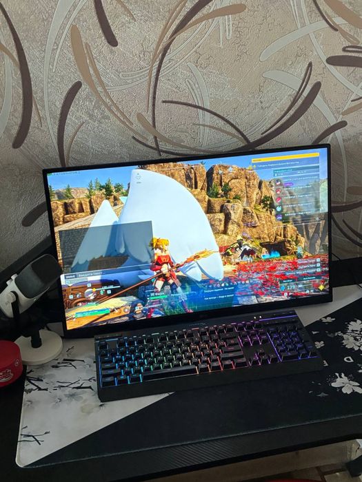 Компьютер и моник