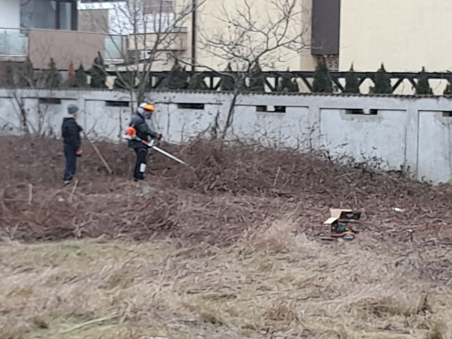 Tăiere copaci defrisari curățare Debarasare evacuare moloz transport