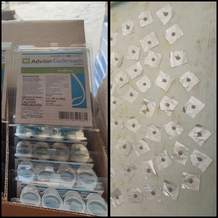 Скидка 10 дней  оригинальная инструкция к применению Advion Gel