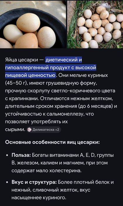 Инкубационные яйца цецарок