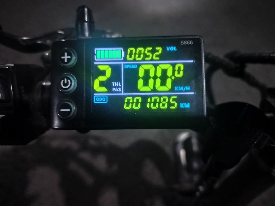 Электровелик леопард