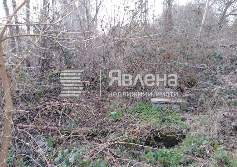 Продава се Земеделски имот в Ахтопол -  кв.м за 58 €/дка - Снимка #6