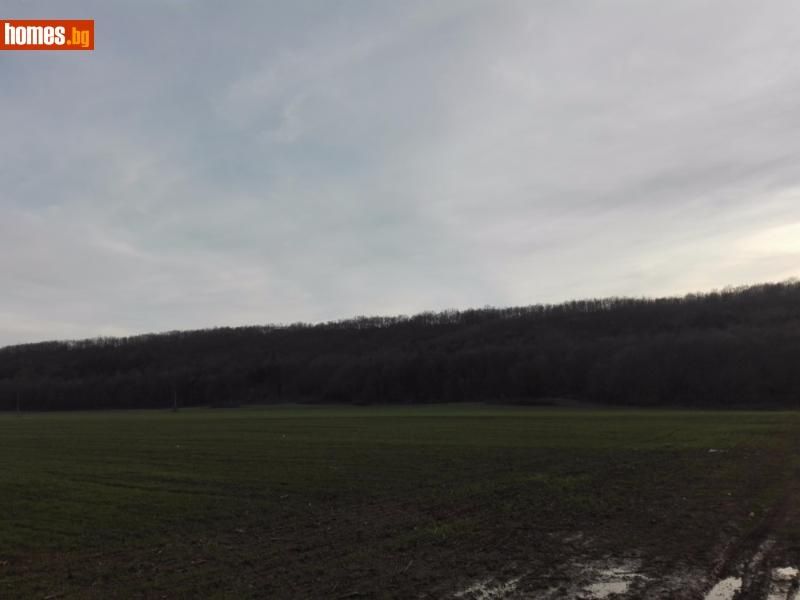Продава се Парцел в с. Попович, Област Варна - 8760 кв.м за 4 €/кв.м - Снимка #6