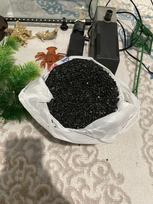 Аквариум.