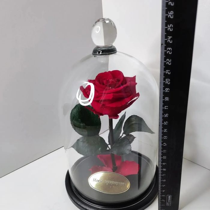 Подарок девушке! Роза в колбе Алматы оригинал