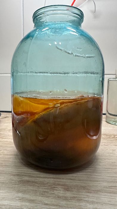 Комбуча (чайный гриб)