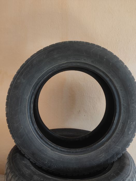 Зимние шины Triangle 195/65R15