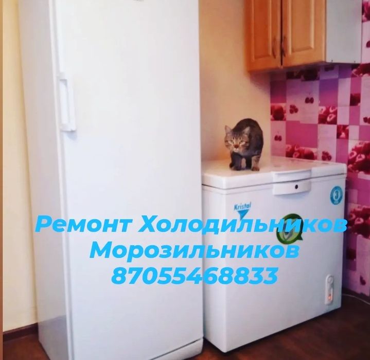 Ремонт Морозильников Холодильников