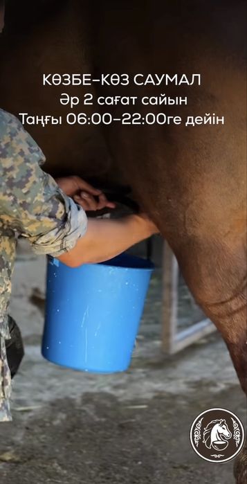 САУМАЛ көзбе көз Шымкент қаласы